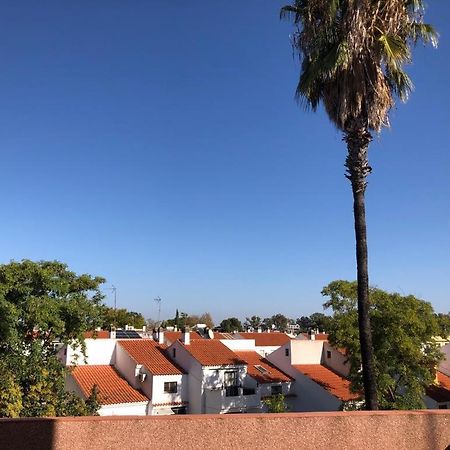 Appartamento Familia Anfitriona Acoge Terraza Siviglia Esterno foto