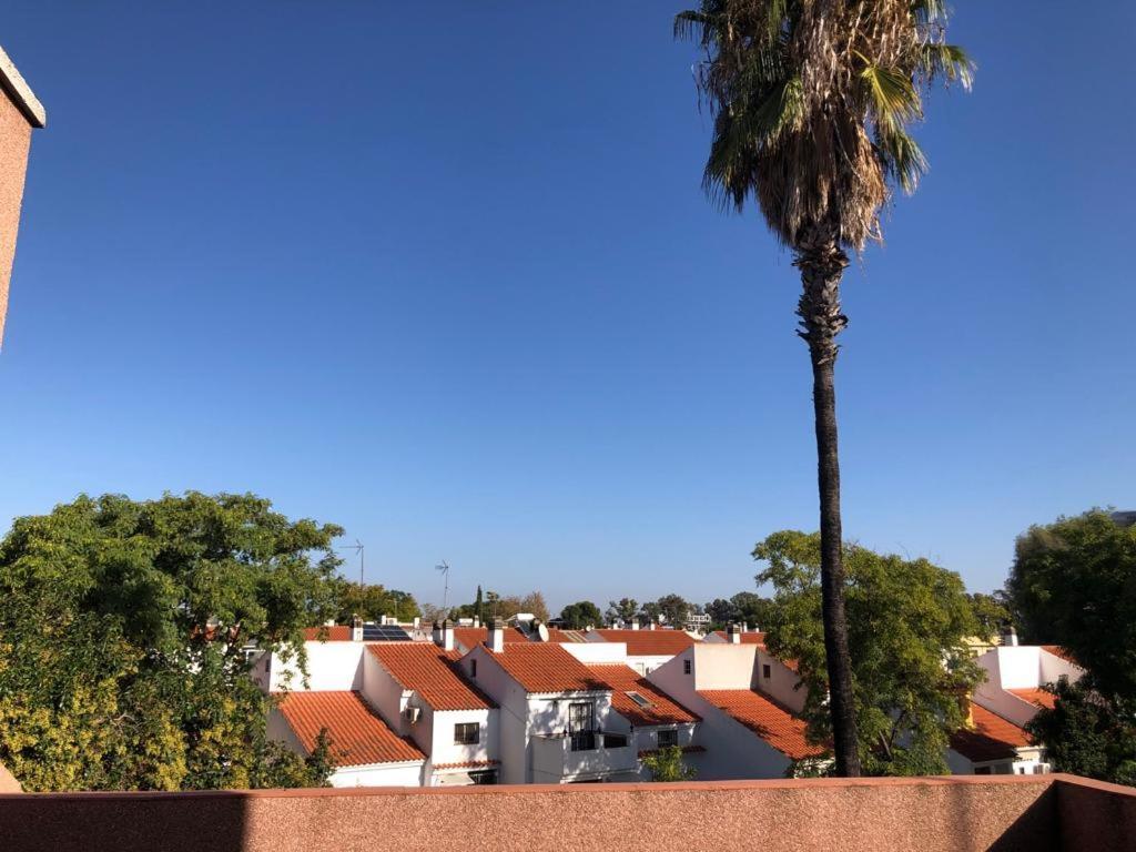 Appartamento Familia Anfitriona Acoge Terraza Siviglia Esterno foto
